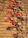 pix 033